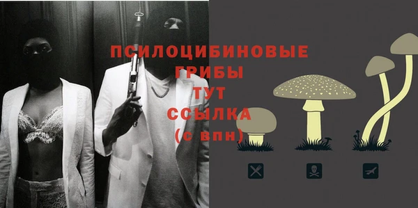 гашик Абдулино