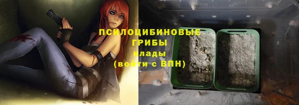 соль ск Абаза