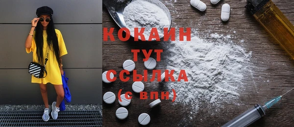 соль ск Абаза
