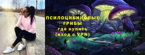 соль ск Абаза