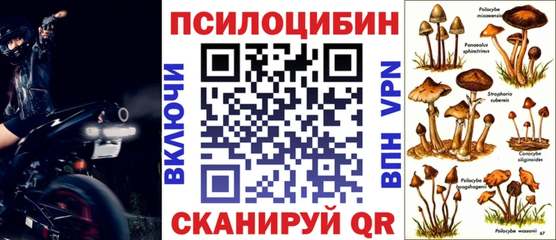 Псилоцибиновые грибы GOLDEN TEACHER  мега сайт  Жердевка 